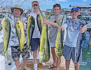 fishing charters nassau bahamas|Yellowtail Charters Bahamas Fishing Snorkeling and .